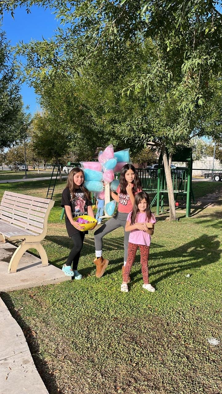 Fiesta de algodones de azúcar en el parque